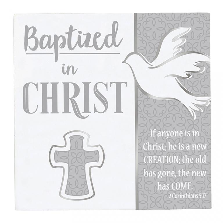 Baptized in Christ Wall Plaque