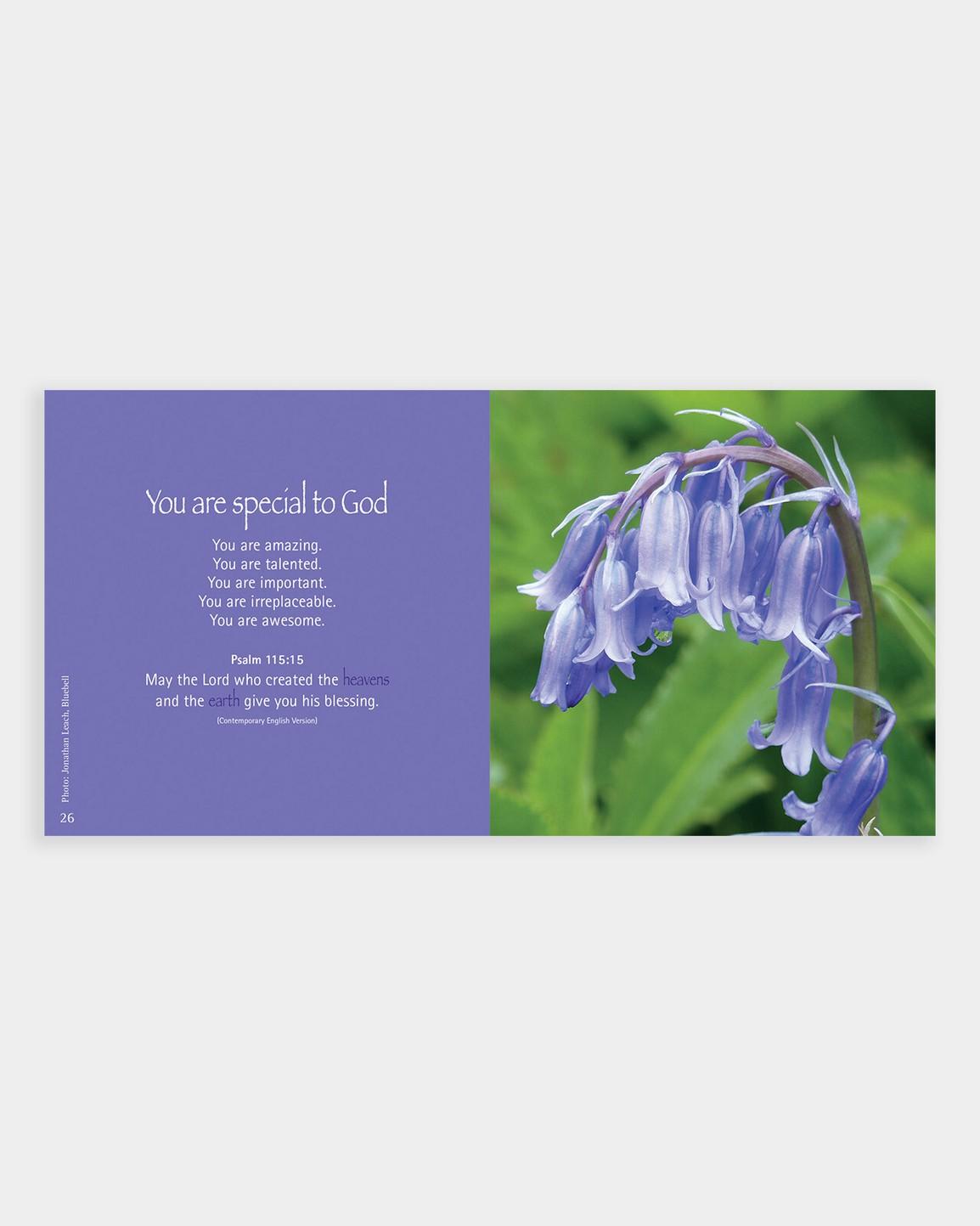 The Leprosy Mission - A Bouquet of Blessings book