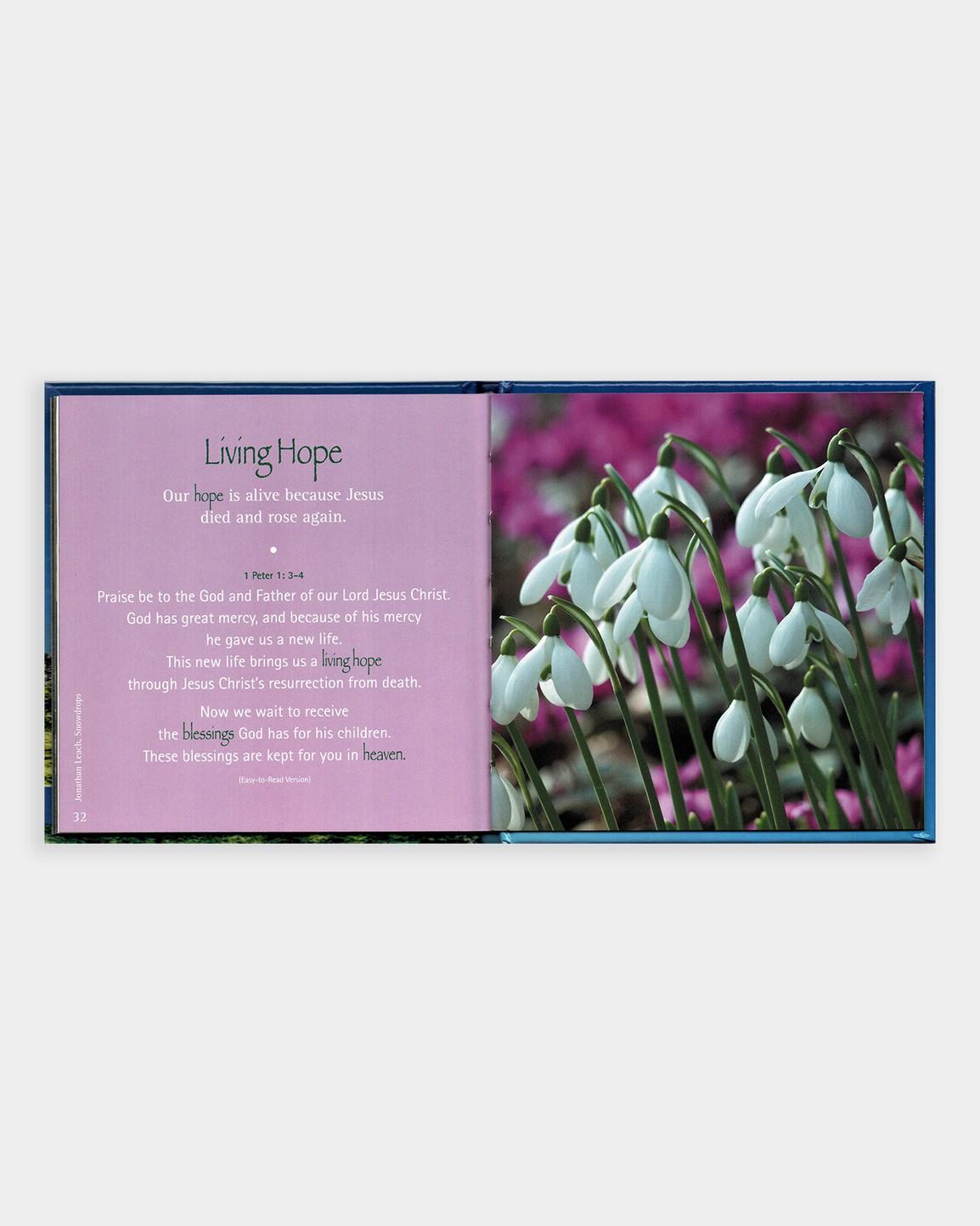 The Leprosy Mission - A Little Book of Hope