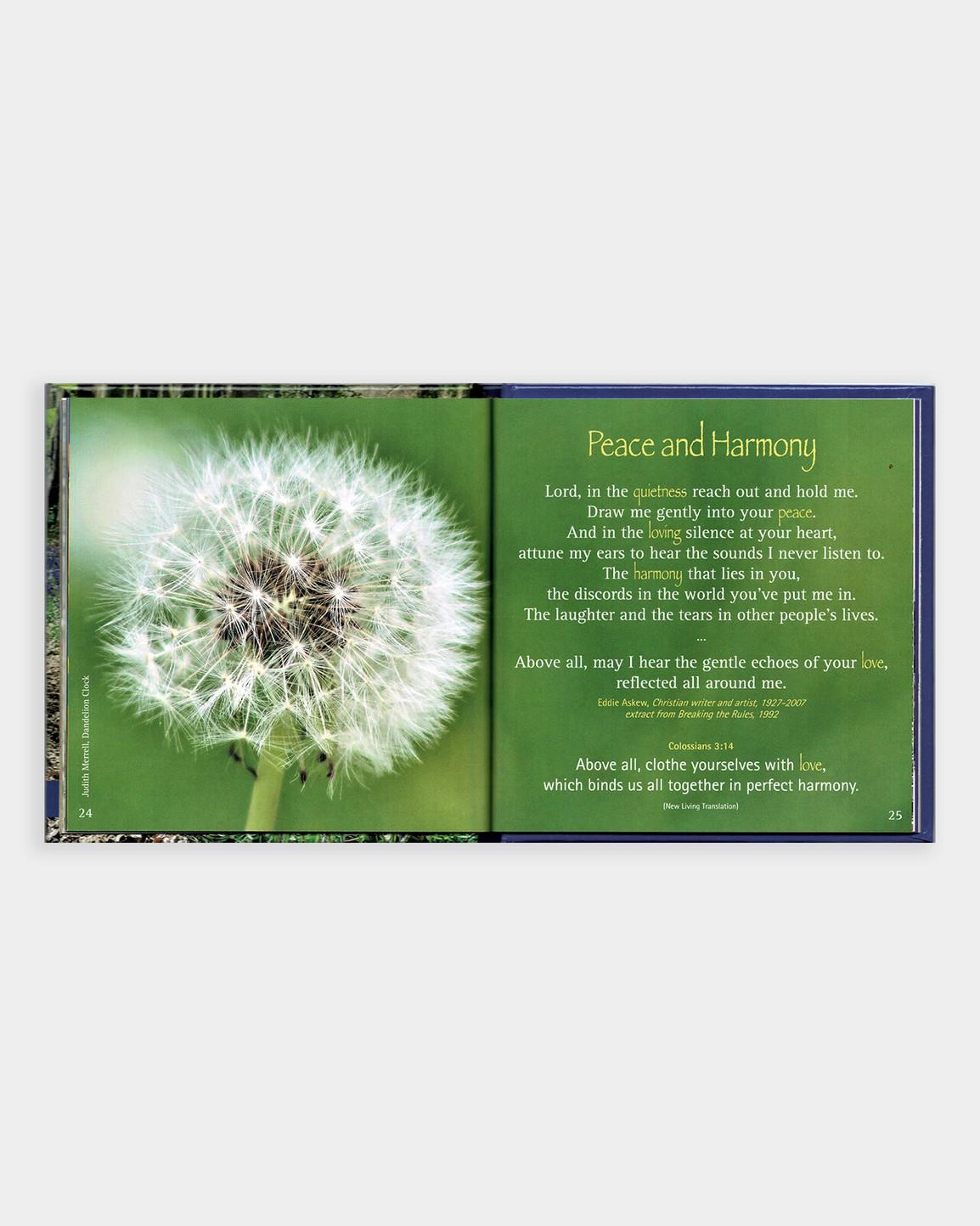 The Leprosy Mission - A Little Book of Peace