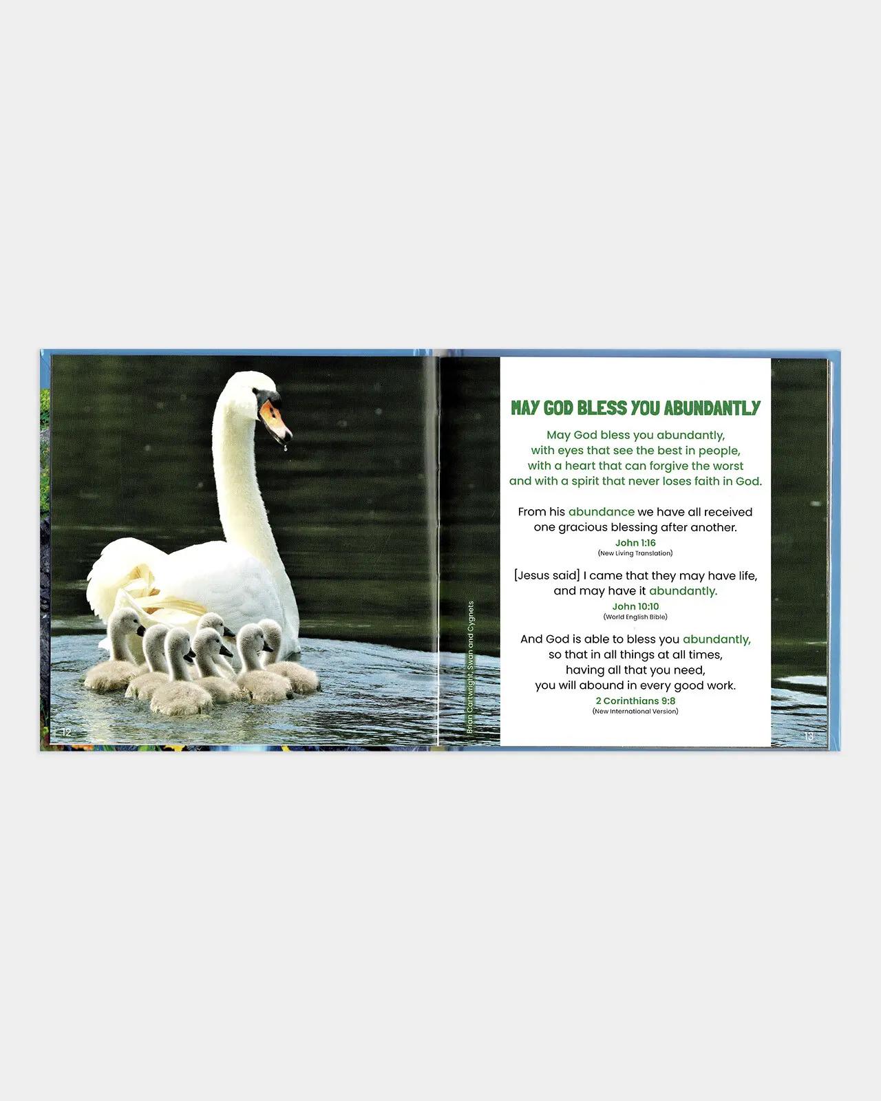 TLM - Abundant Blessings
