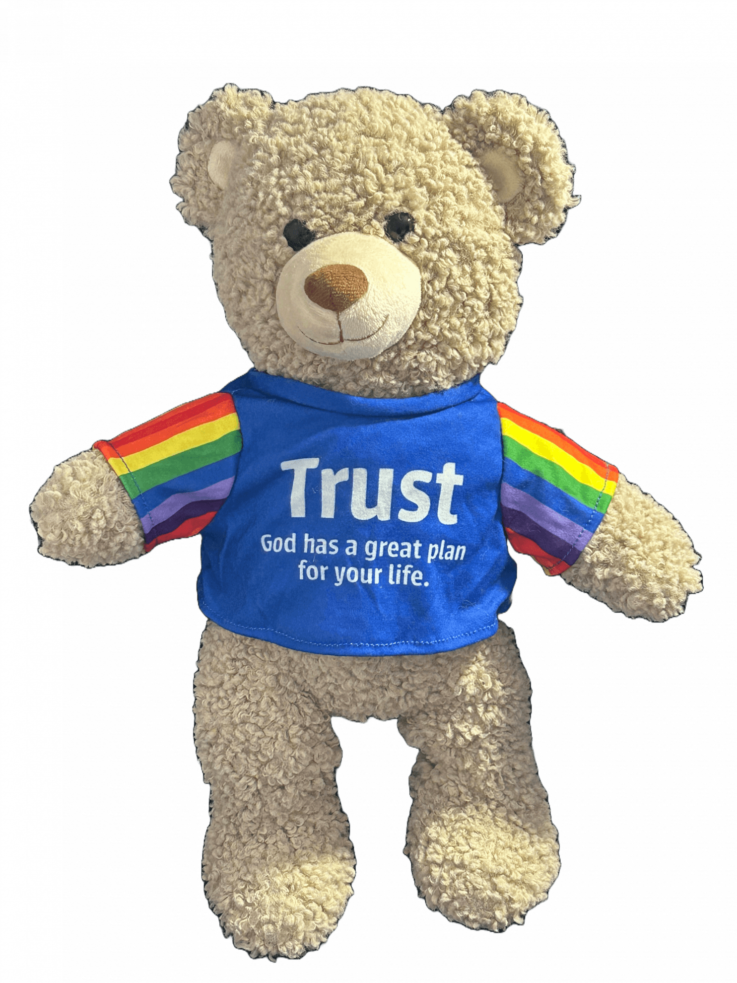 Trust  Bear