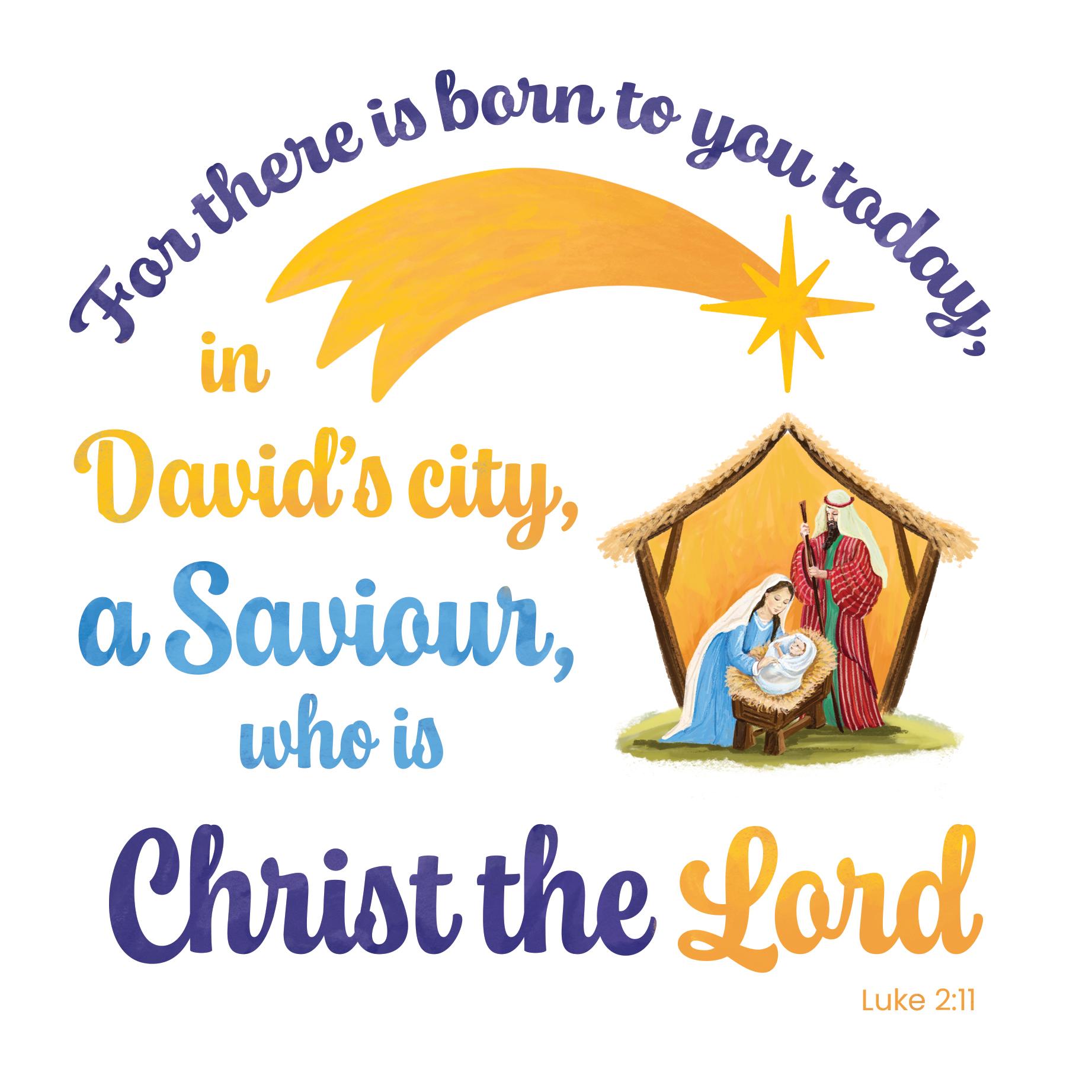 TLM – David’s City Cards (Pack of 10)