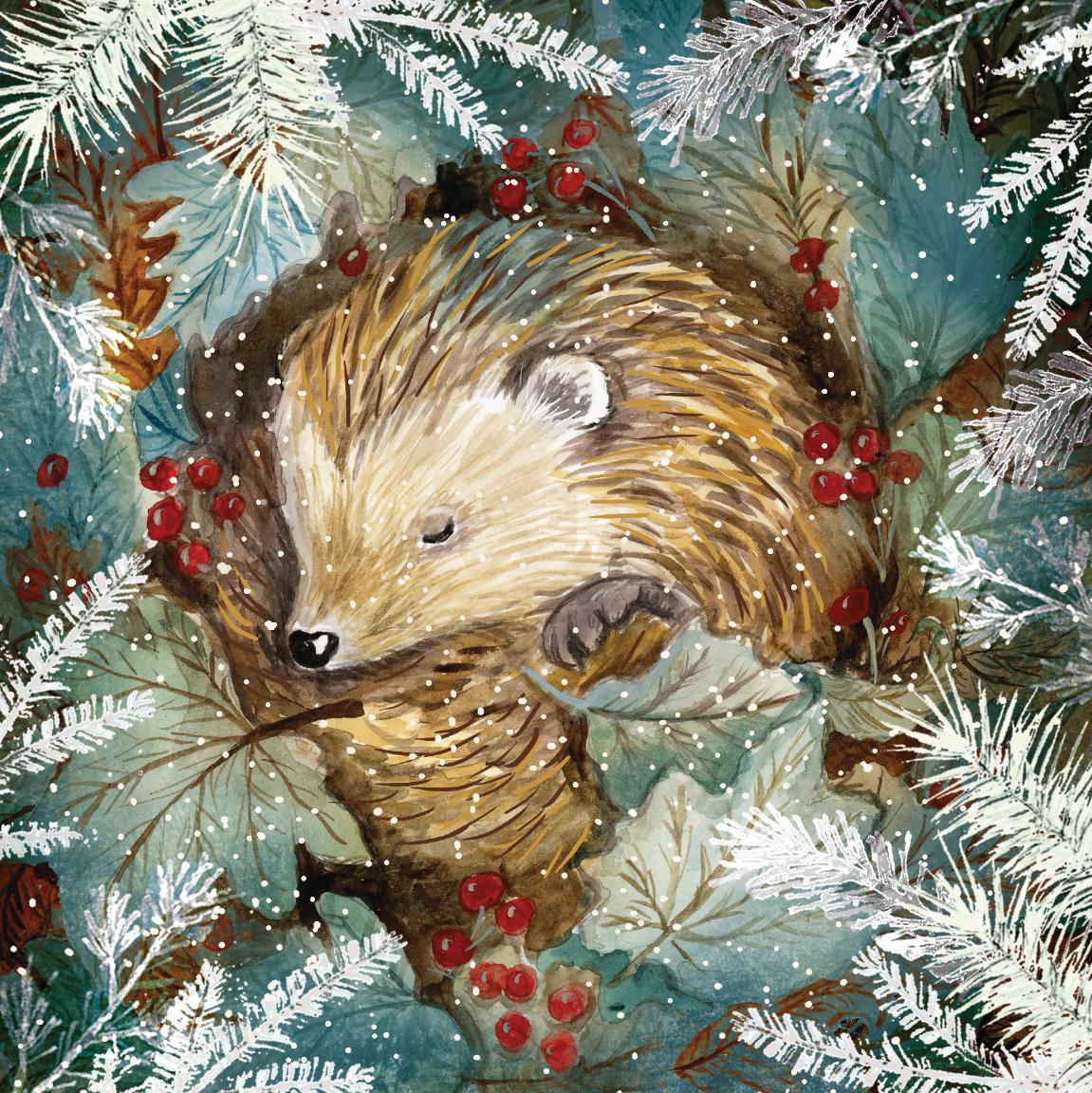 Food Bank - Sleepy Hedgehog (Pack of 10)